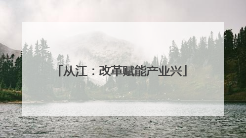 从江：改革赋能产业兴