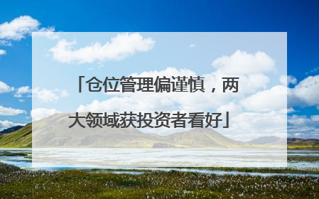 仓位管理偏谨慎，两大领域获投资者看好