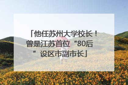 他任苏州大学校长！曾是江苏首位“80后”设区市副市长
