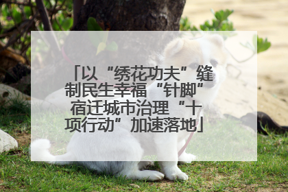 以“绣花功夫”缝制民生幸福“针脚” 宿迁城市治理“十项行动”加速落地