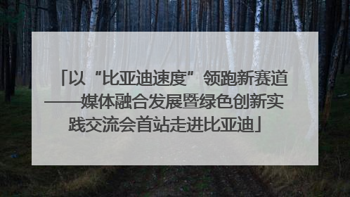 以“比亚迪速度”领跑新赛道——媒体融合发展暨绿色创新实践交流会首站走进比亚迪