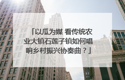 以瓜为媒 看传统农业大镇石莲子镇如何唱响乡村振兴协奏曲？