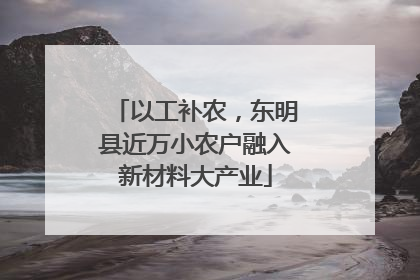 以工补农，东明县近万小农户融入新材料大产业