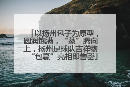 以扬州包子为原型，圆润饱满，“蒸”腾向上，扬州足球队吉祥物“包赢”亮相即售罄