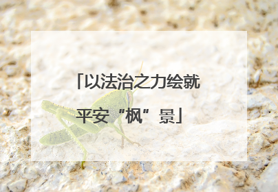 以法治之力绘就平安“枫”景