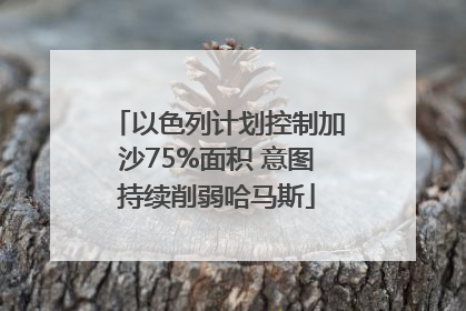 以色列计划控制加沙75%面积 意图持续削弱哈马斯
