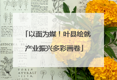 以面为媒！叶县绘就产业振兴多彩画卷