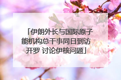伊朗外长与国际原子能机构总干事同日到访开罗 讨论伊核问题