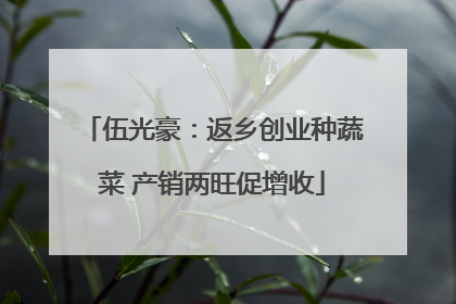 伍光豪：返乡创业种蔬菜 产销两旺促增收
