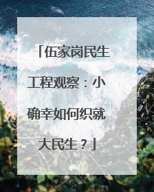 伍家岗民生工程观察：小确幸如何织就大民生？