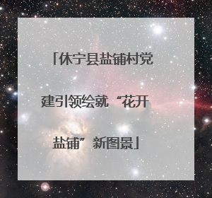 休宁县盐铺村党建引领绘就“花开盐铺”新图景