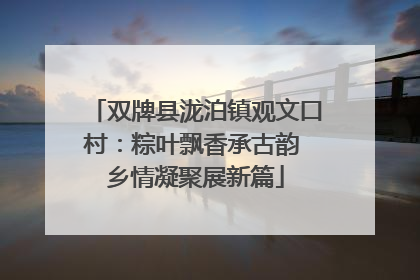双牌县泷泊镇观文口村：粽叶飘香承古韵 乡情凝聚展新篇