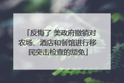 反悔了 美政府撤销对农场、酒店和餐馆进行移民突击检查的豁免