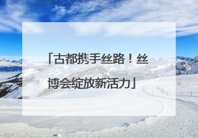 古都携手丝路！丝博会绽放新活力