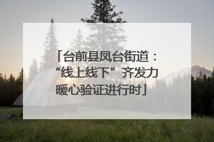 台前县凤台街道：“线上线下”齐发力 暖心验证进行时