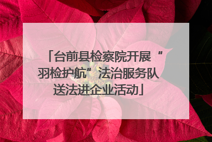 台前县检察院开展“羽检护航”法治服务队送法进企业活动