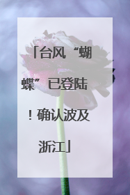 台风“蝴蝶”已登陆！确认波及浙江