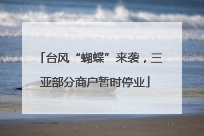 台风“蝴蝶”来袭，三亚部分商户暂时停业
