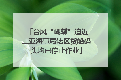 台风“蝴蝶”迫近 三亚海事局辖区货船码头均已停止作业