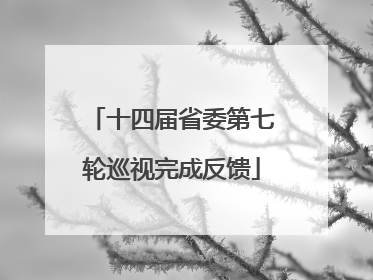 十四届省委第七轮巡视完成反馈