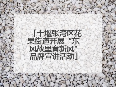十堰张湾区花果街道开展“东风故里育新风”品牌宣讲活动