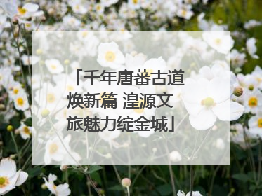 千年唐蕃古道焕新篇 湟源文旅魅力绽金城