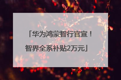 华为鸿蒙智行官宣！智界全系补贴2万元