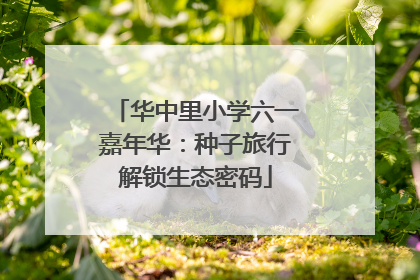 华中里小学六一嘉年华：种子旅行解锁生态密码