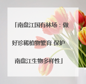 南盘江国有林场：做好珍稀植物繁育 保护南盘江生物多样性