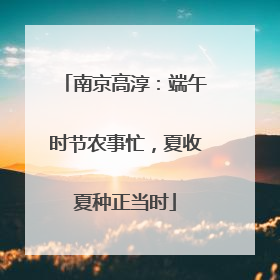 南京高淳：端午时节农事忙，夏收夏种正当时