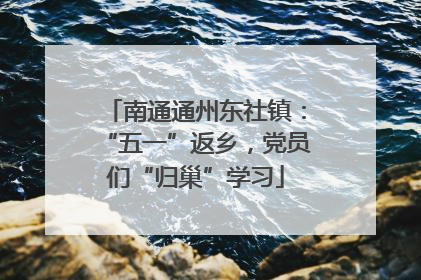 南通通州东社镇：“五一”返乡，党员们“归巢”学习