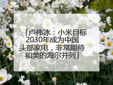 卢伟冰：小米目标2030年成为中国头部家电，非常期待和美的海尔并列