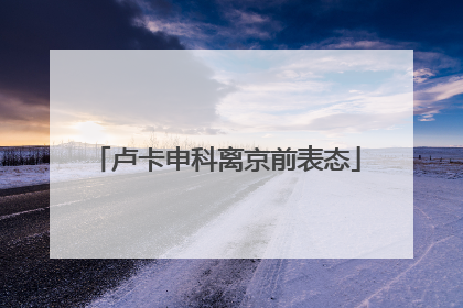 卢卡申科离京前表态