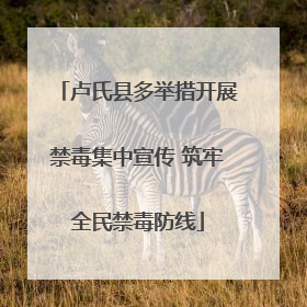 卢氏县多举措开展禁毒集中宣传 筑牢全民禁毒防线