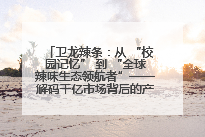 卫龙辣条：从 “校园记忆” 到 “全球辣味生态领航者”——解码千亿市场背后的产品创新与全链路破圈