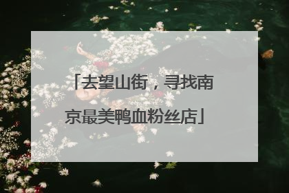 去望山街，寻找南京最美鸭血粉丝店