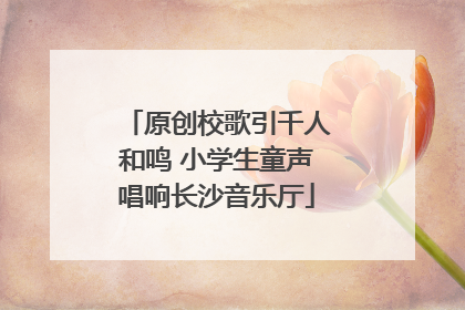 原创校歌引千人和鸣 小学生童声唱响长沙音乐厅