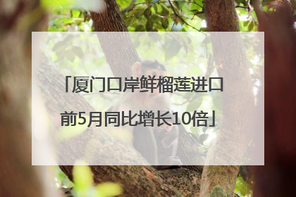 厦门口岸鲜榴莲进口 前5月同比增长10倍