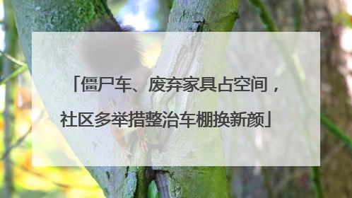 僵尸车、废弃家具占空间，社区多举措整治车棚换新颜