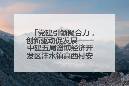 党建引领聚合力，创新驱动促发展——中建五局淄博经济开发区沣水镇高西村安置项目建设纪实