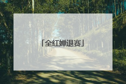 全红婵退赛
