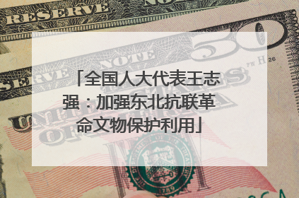 全国人大代表王志强：加强东北抗联革命文物保护利用
