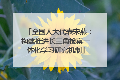 全国人大代表宋燕：构建推进长三角检察一体化学习研究机制