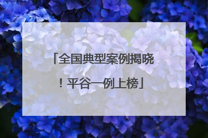 全国典型案例揭晓！平谷一例上榜