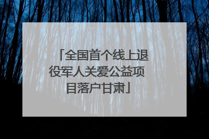 全国首个线上退役军人关爱公益项目落户甘肃