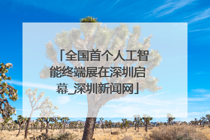 全国首个人工智能终端展在深圳启幕_深圳新闻网