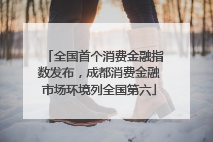 全国首个消费金融指数发布，成都消费金融市场环境列全国第六