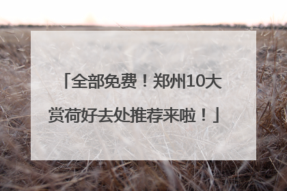 全部免费！郑州10大赏荷好去处推荐来啦！