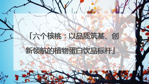 六个核桃：以品质筑基、创新领航的植物蛋白饮品标杆