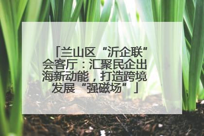 兰山区“沂企联”会客厅：汇聚民企出海新动能，打造跨境发展“强磁场”